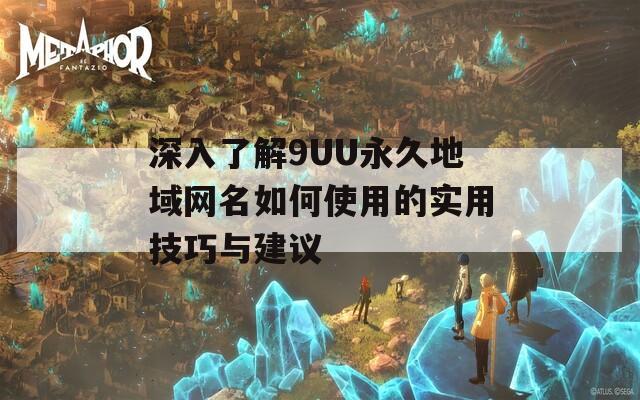 深入了解9UU永久地域网名如何使用的实用技巧与建议