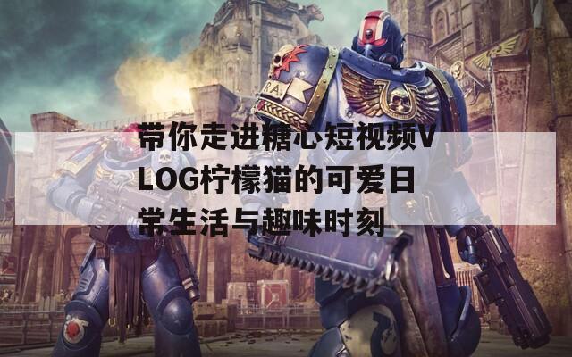 带你走进糖心短视频VLOG柠檬猫的可爱日常生活与趣味时刻