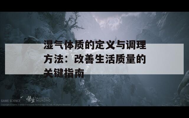湿气体质的定义与调理方法：改善生活质量的关键指南