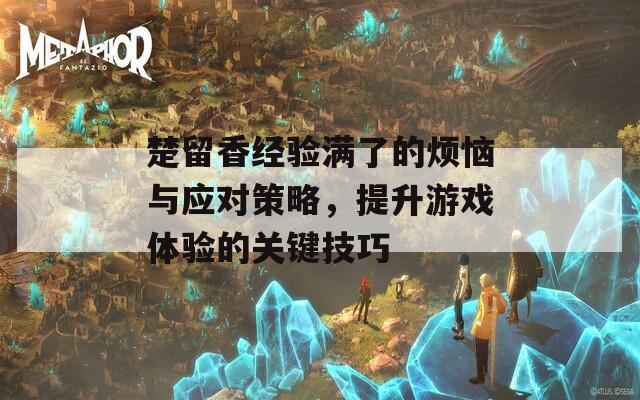 楚留香经验满了的烦恼与应对策略，提升游戏体验的关键技巧