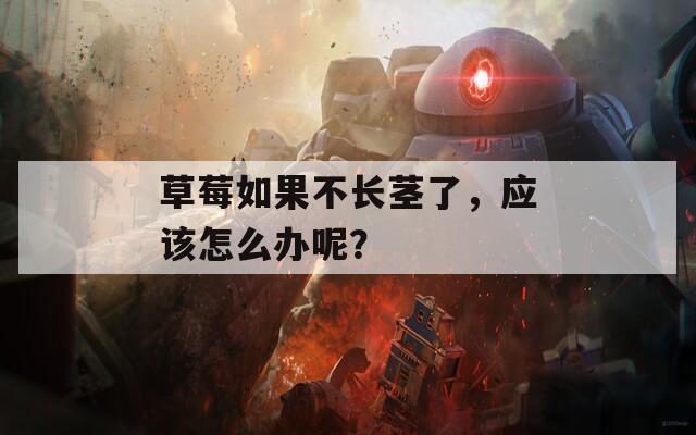草莓如果不长茎了，应该怎么办呢？