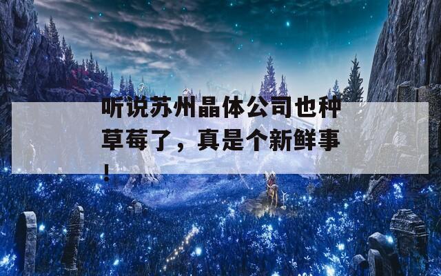 听说苏州晶体公司也种草莓了，真是个新鲜事！