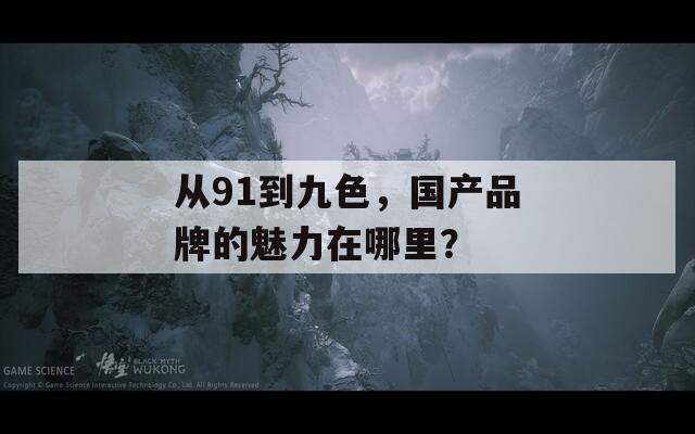 从91到九色，国产品牌的魅力在哪里？