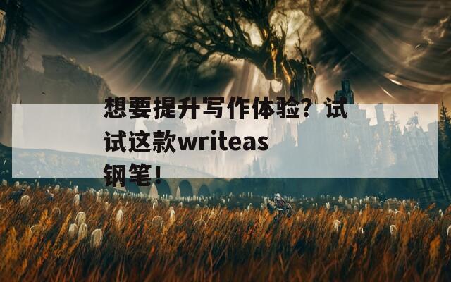 想要提升写作体验？试试这款writeas钢笔！