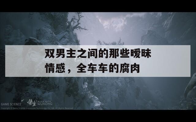 双男主之间的那些暧昧情感，全车车的腐肉