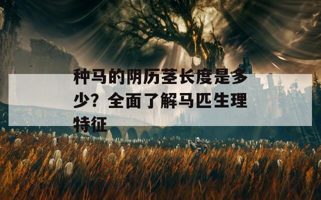 种马的阴历茎长度是多少？全面了解马匹生理特征