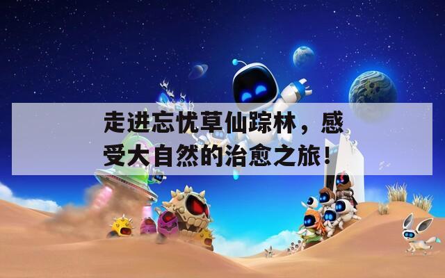 走进忘忧草仙踪林，感受大自然的治愈之旅！